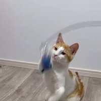 おもちゃで遊ぶ善くん