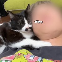 ぴとっ