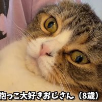 テロップ「抱っこ大好き～」