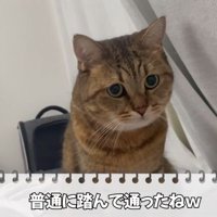 踏んで通るみにらくん
