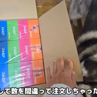 大量のボックスティッシュ
