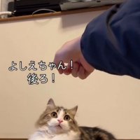 「よしえちゃん、後ろ」と書かれた写真2