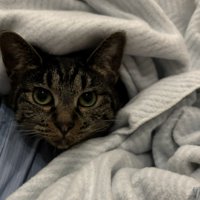 リラックスしているいろはちゃん