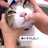 鼻の穴に付いた鼻くそ