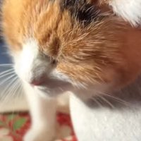 顔のアップ