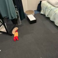 部屋の中