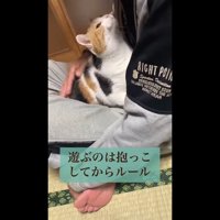 遊ぶのは抱っこしてからルール