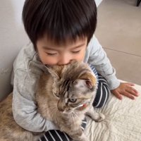 猫吸いをする子供