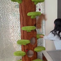 キャットタワーから落ちる猫