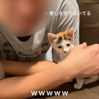 涙を流す男性