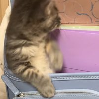 後ろが気になるスピカちゃん