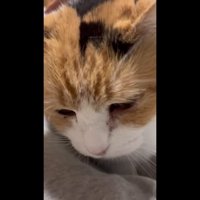 顔のアップ