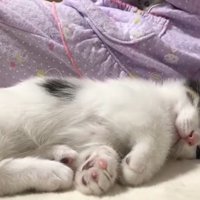 眠い