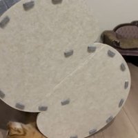 ハウスから顔が滑り出てきた猫1