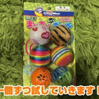 6個の猫用ボール