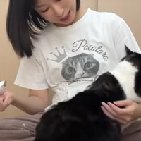 猫の様子