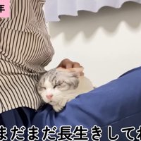 現在のキャリーちゃん