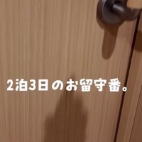 ドアノブまで写るドア（2泊3日のお留守番）