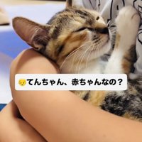 息子さんに抱っこされる子猫
