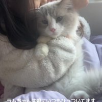 猫を抱きしめる女の子