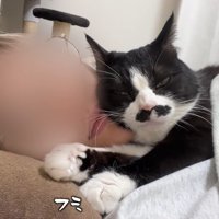 フミフミ