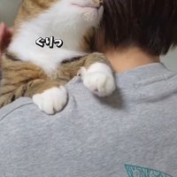飼い主に抱っこされて頭を擦り付けている猫