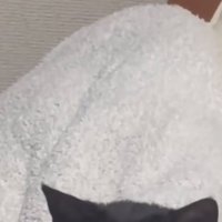 椅子の背もたれ