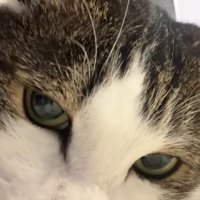 下を向いた顔のドアップ