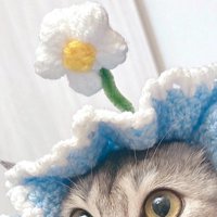 帽子の上についている花の飾り