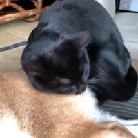 お尻にお顔を
