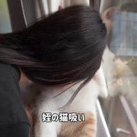 人間が猫のおなかを吸っている