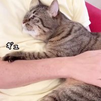 猫を膝にのせる男性