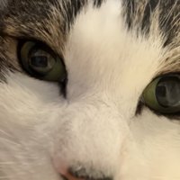 目元のドアップ