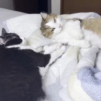 手を離して