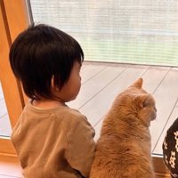 弟