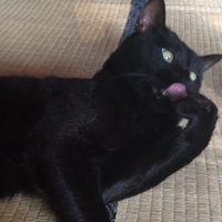 毛づくろい