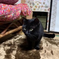 座って固まる姿
