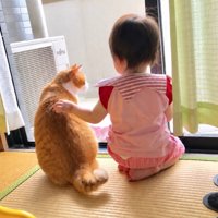 一緒に窓の外を見ていることも