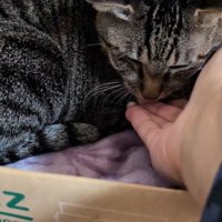 薬がこぼれてしまった