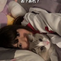 猫と寝る女の子