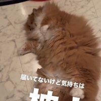 「届いてないけど…」と書かれた写真
