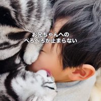 お兄ちゃんの顔を舐める子猫