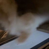 画面上のネズミを仕留めた猫