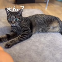 ぉん？