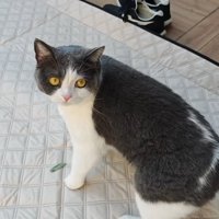 振り向いたビビちゃん