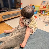 抱きしめられる猫