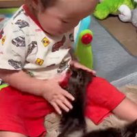 戯れる赤ちゃんと赤ちゃん猫