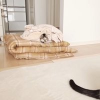 シーツに包まれた姿