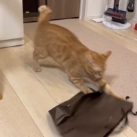 パンチ