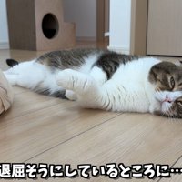 テロップ「退屈そうに～」
